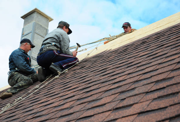 Best Metal Roofing Contractor  in Cajahs Mountain, NC